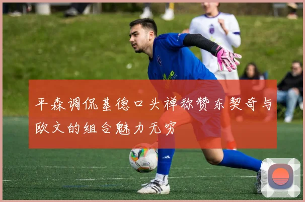平森调侃基德口头禅称赞东契奇与欧文的组合魅力无穷