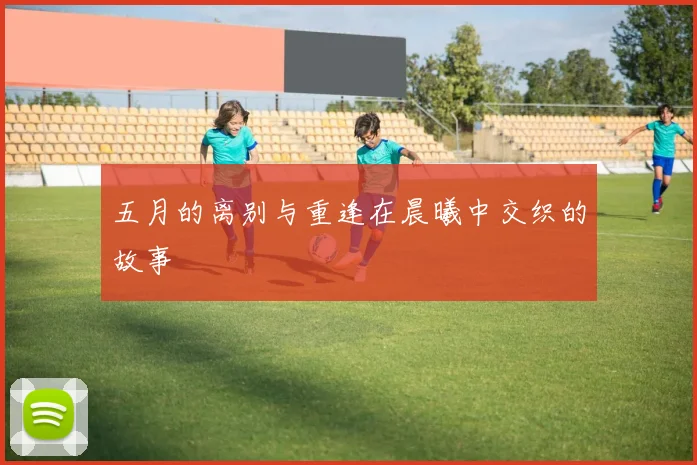 五月的离别与重逢在晨曦中交织的故事